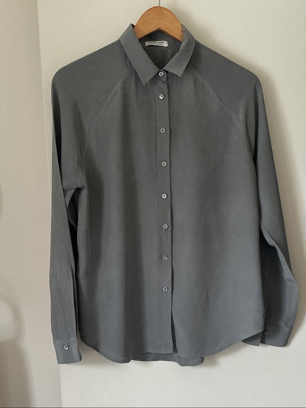 EVERLANE Minimalist Grey Silk Long-Sleeve Button-Up Shirt